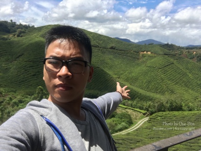 cameron highlands travel blog72