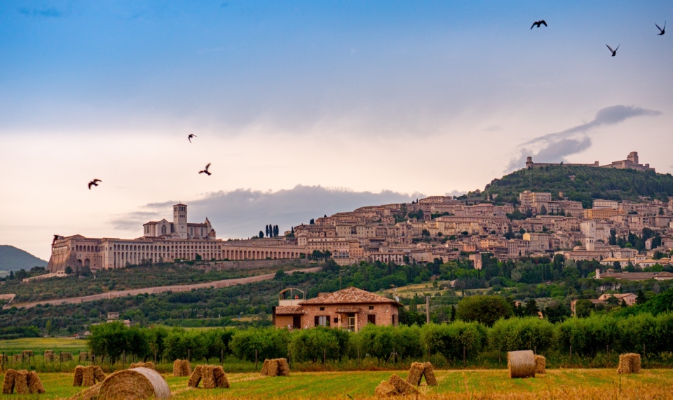 assisi guide italy32