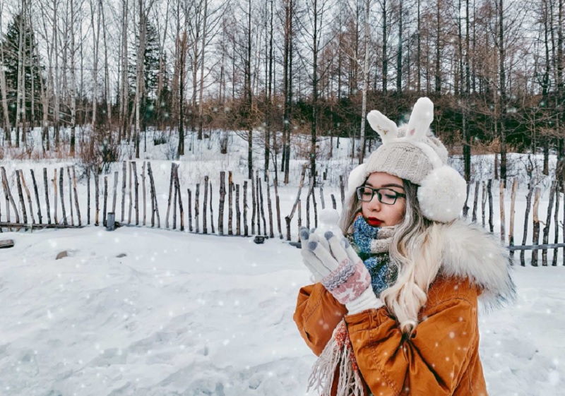 daegu winter - Living + Nomads – Travel tips, Guides, News & Information!