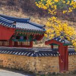 Daegu travel blog — The fullest Daegu travel guide for first-timers
