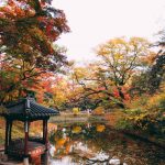 Korea fall foliage forecast 2022 — 16 best place to see autumn leaves in Korea