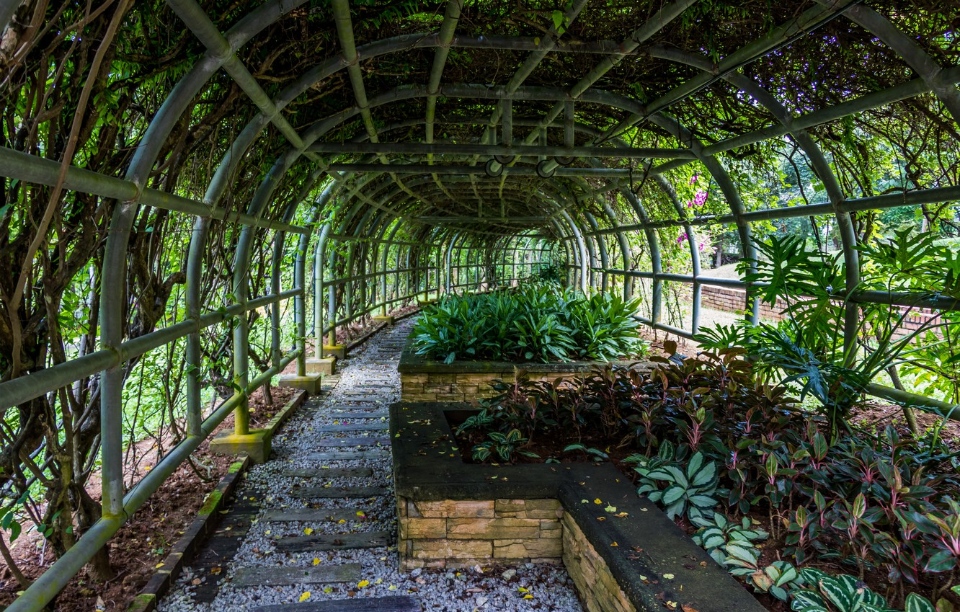 nature-walk-putrajaya-botanical-garden-botanical-garden-mala