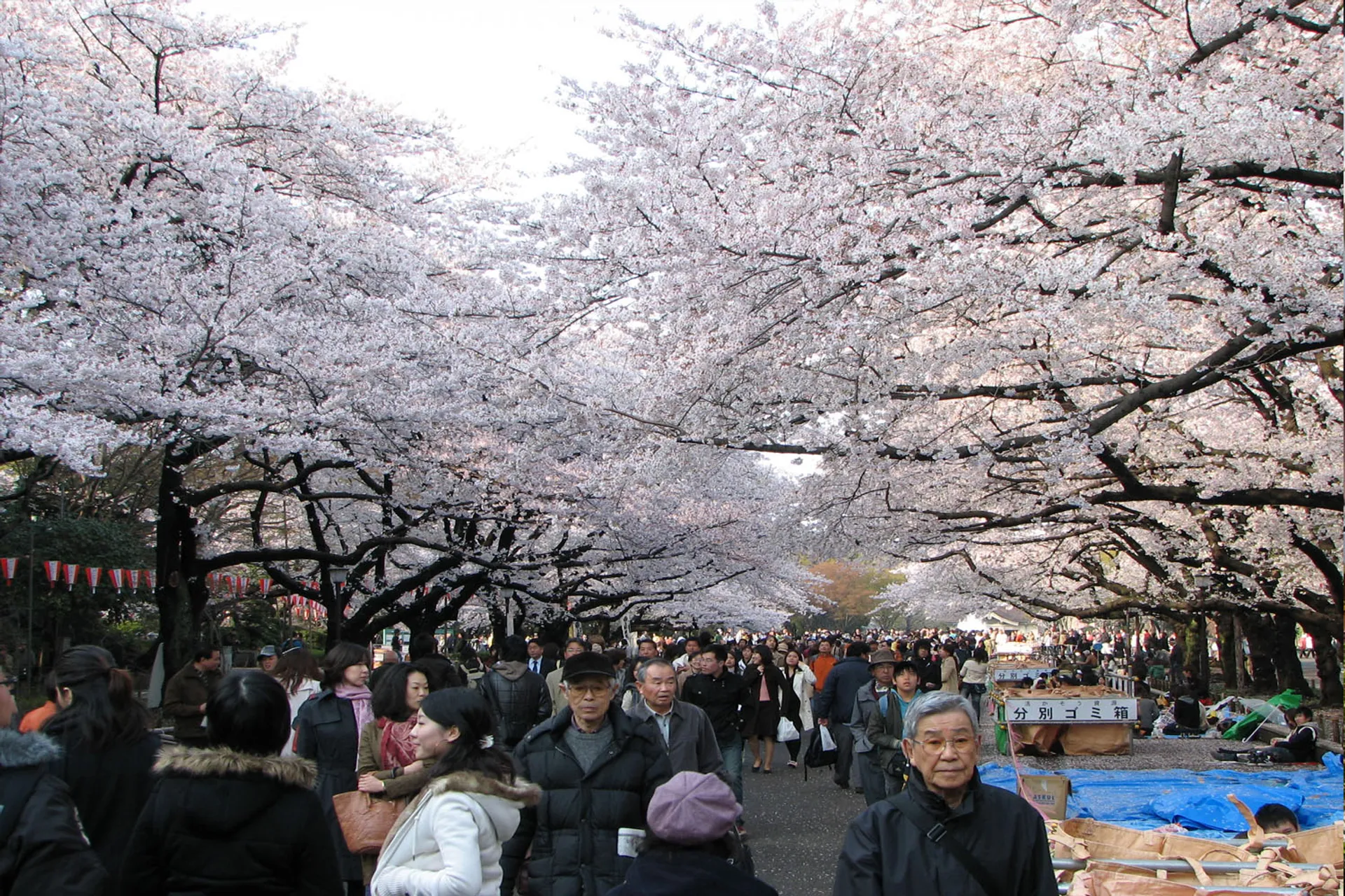 ueno park tokyo