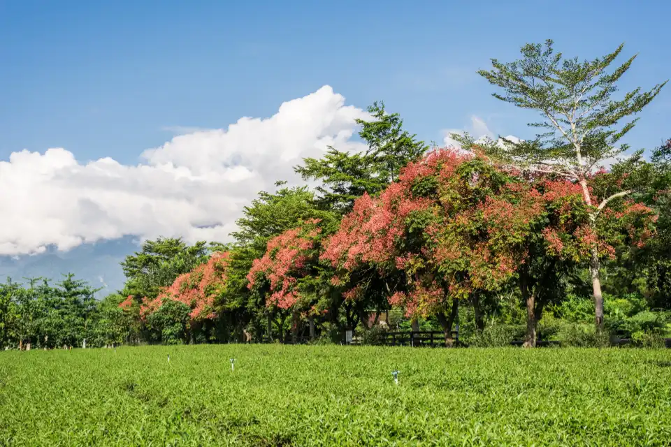 taitung taiwan blog1