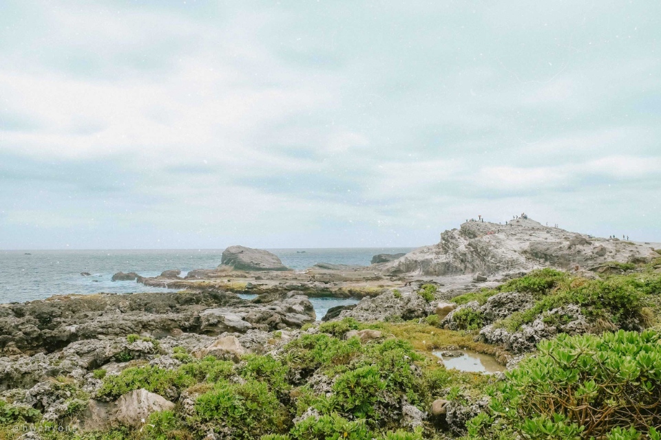 taitung guide brown avenue3