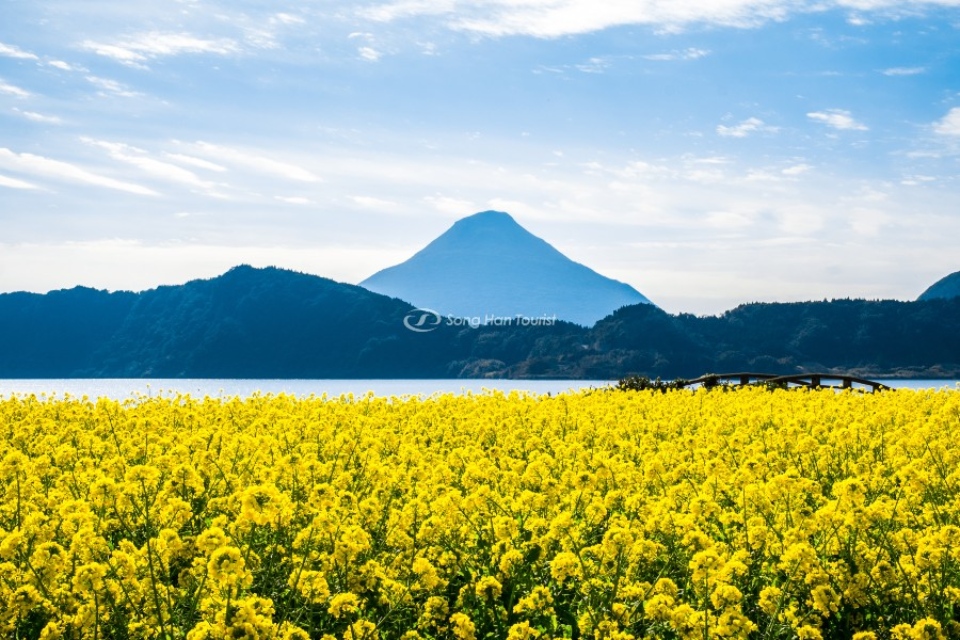 Sakurajima kagoshima3