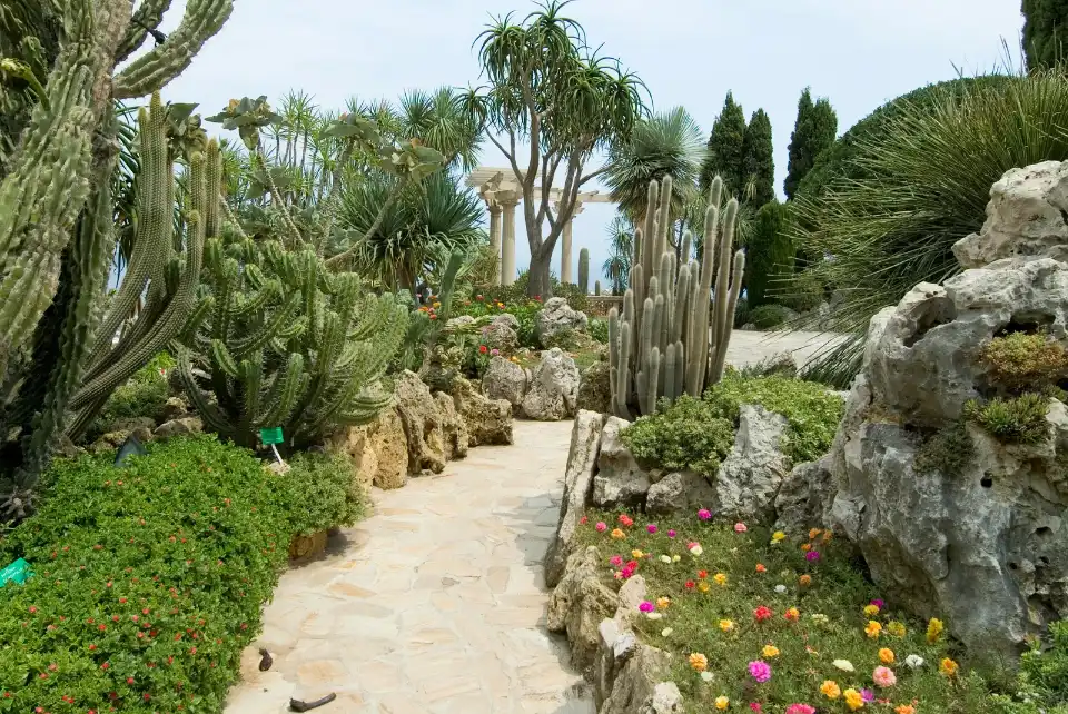 jardin_exotique_monaco_3080