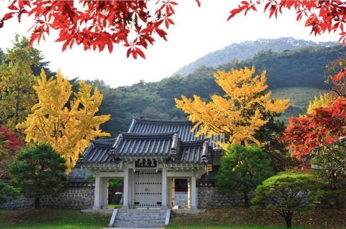 Gwangju travel blog — The fullest Gwangju travel guide for first-timers ...