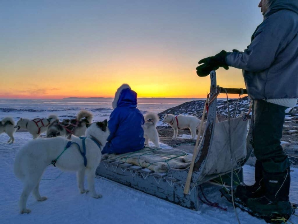 dog sleding greenland