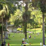 Guide to Singapore Botanic Gardens — How to visit & what to do in Singapore botanic gardens