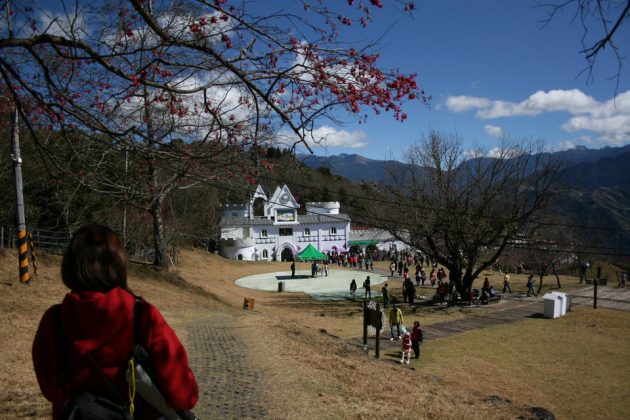 Cingjing Farm blog — How to visit & what to do in Cingjing Farm ...