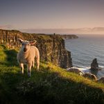 Ireland travel blog — The fullest Ireland travel guide for first-timers