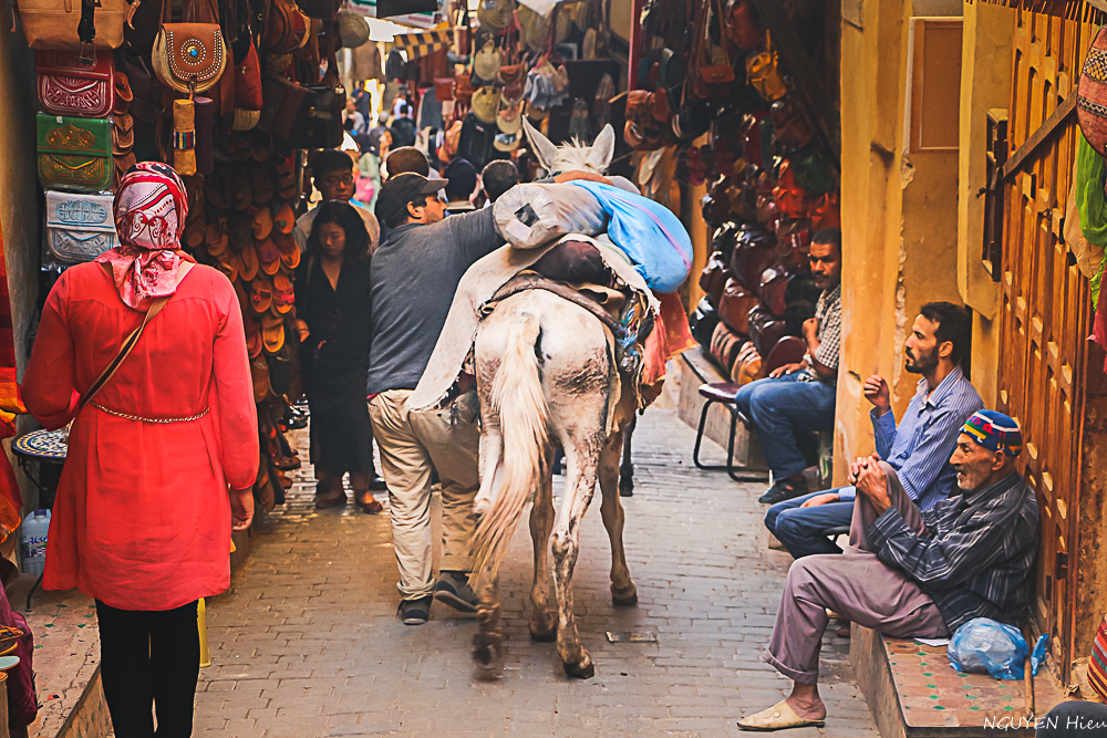 fes fez morroco27