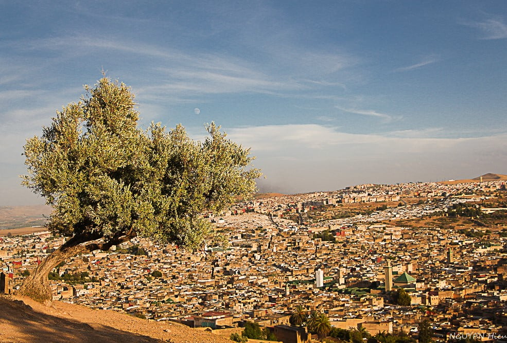 fes fez morroco8