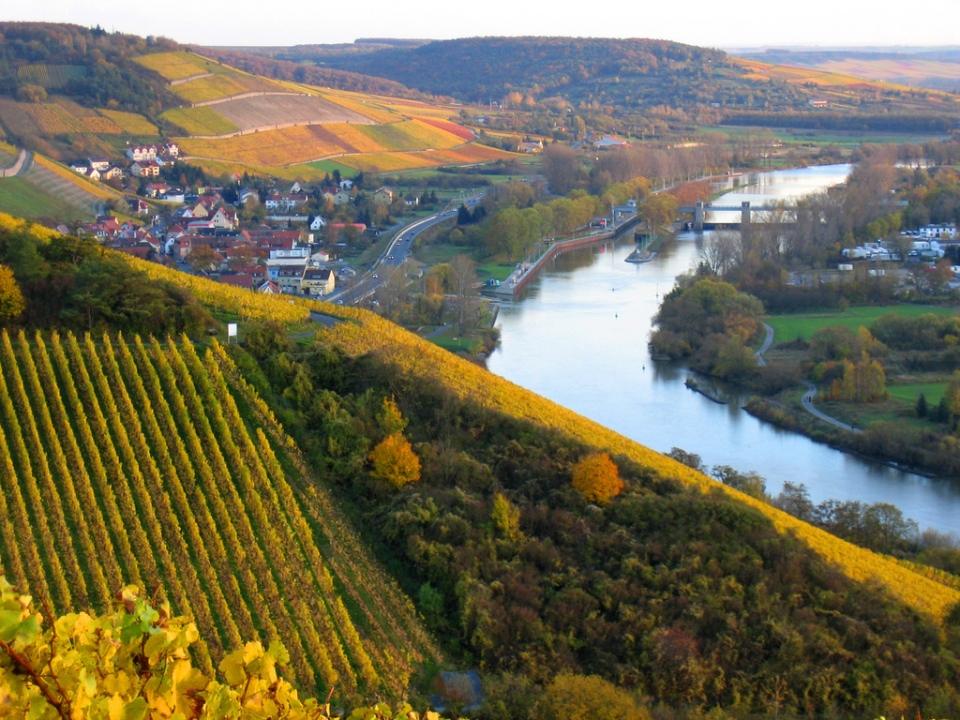 Franconian_vineyards_in_Autumn
