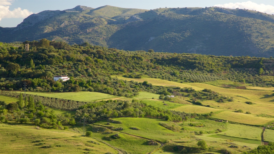 ronda andalusia spain7