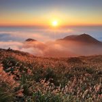 Yangmingshan travel blog — The fullest Yangmingshan national park guide for first-timers