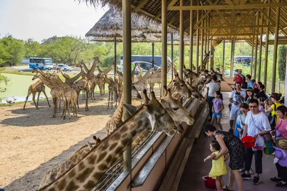 safari world thailand review