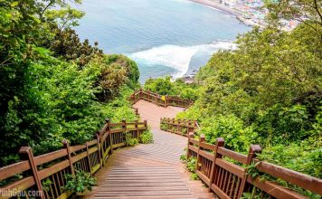 Seoul and Jeju itinerary 5 days — The detailed Seoul Jeju itinerary and 5-day costs of exploring Seoul and Jeju