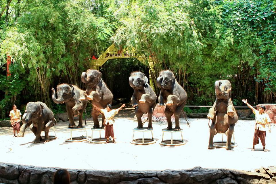 safari world thailand review