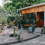 Top cafes in Chiang Mai — 8+ best coffee shop & best cafes in Chiang Mai