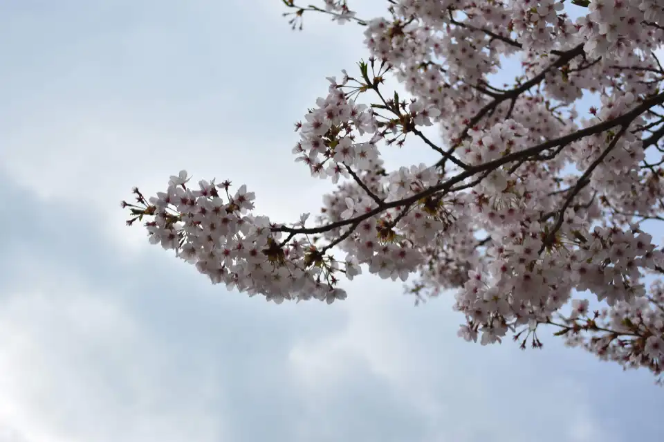 Gyeongsang changwon korea1