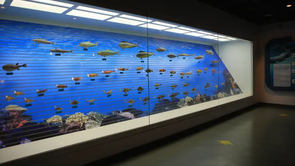 Gyeongsang changwon korea3