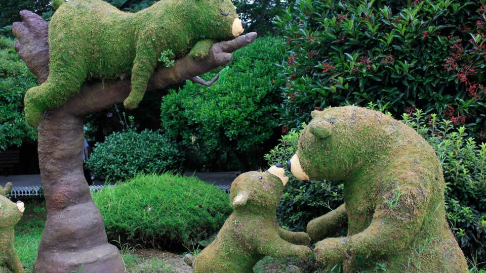 Gyeongsang changwon korea4