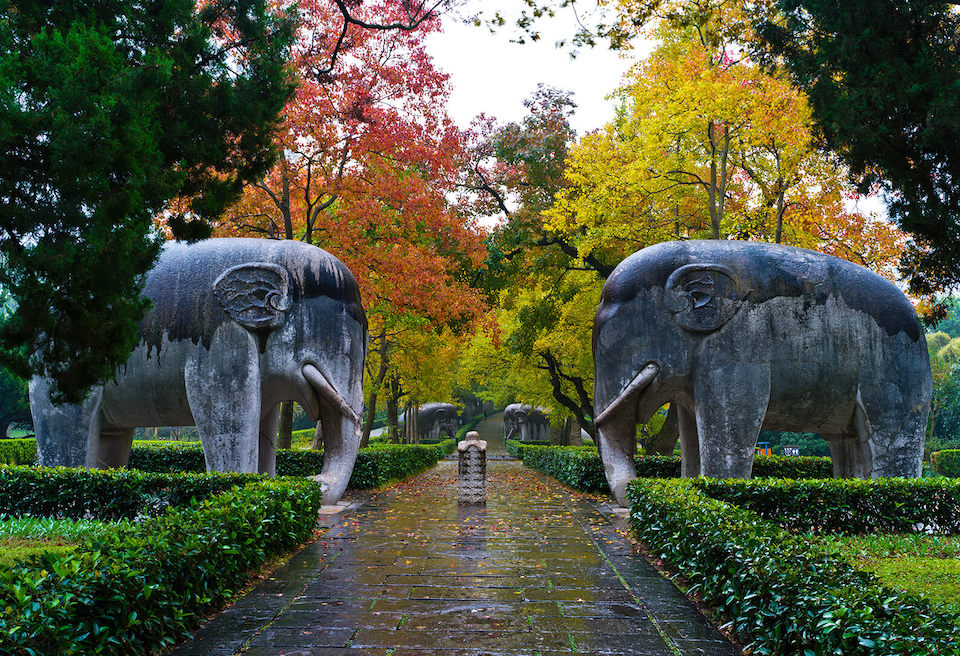 elephant road nanjing24