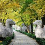What to do in Nanjing? — 10 top, must-see places & best things to do in Nanjing