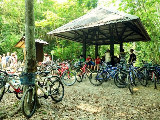 Pulau Ubin travel guide. The ultimate guide to the green island of ...