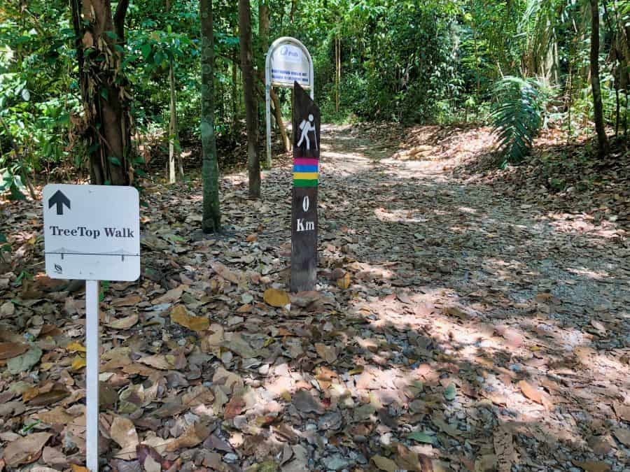 Tree_Top_Hike_Singapore_04