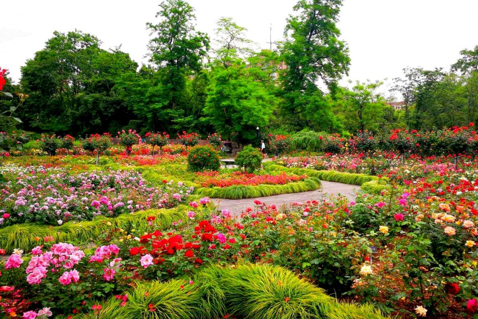 Shanghai Botanical Garden