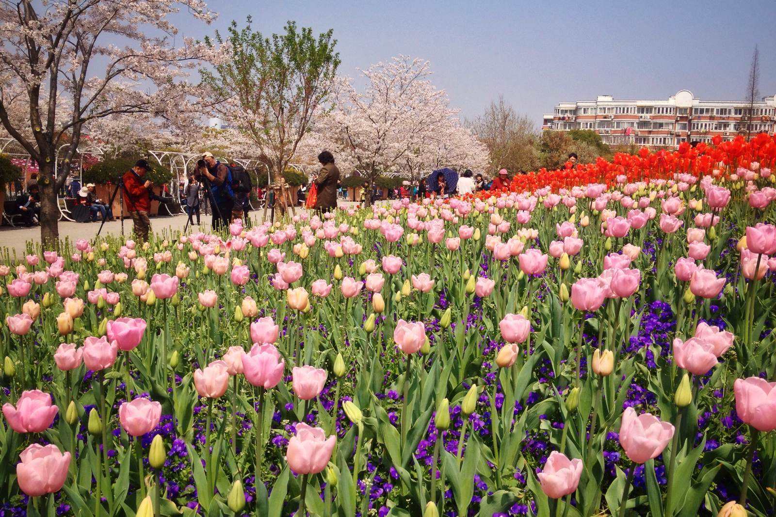 Shanghai Botanical Garden4