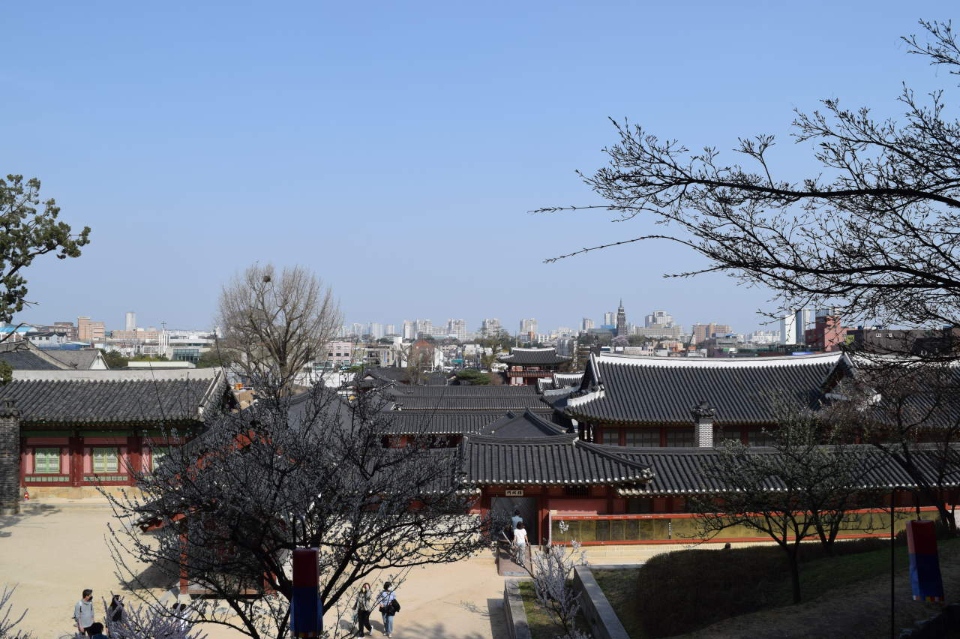 suwon-korea1