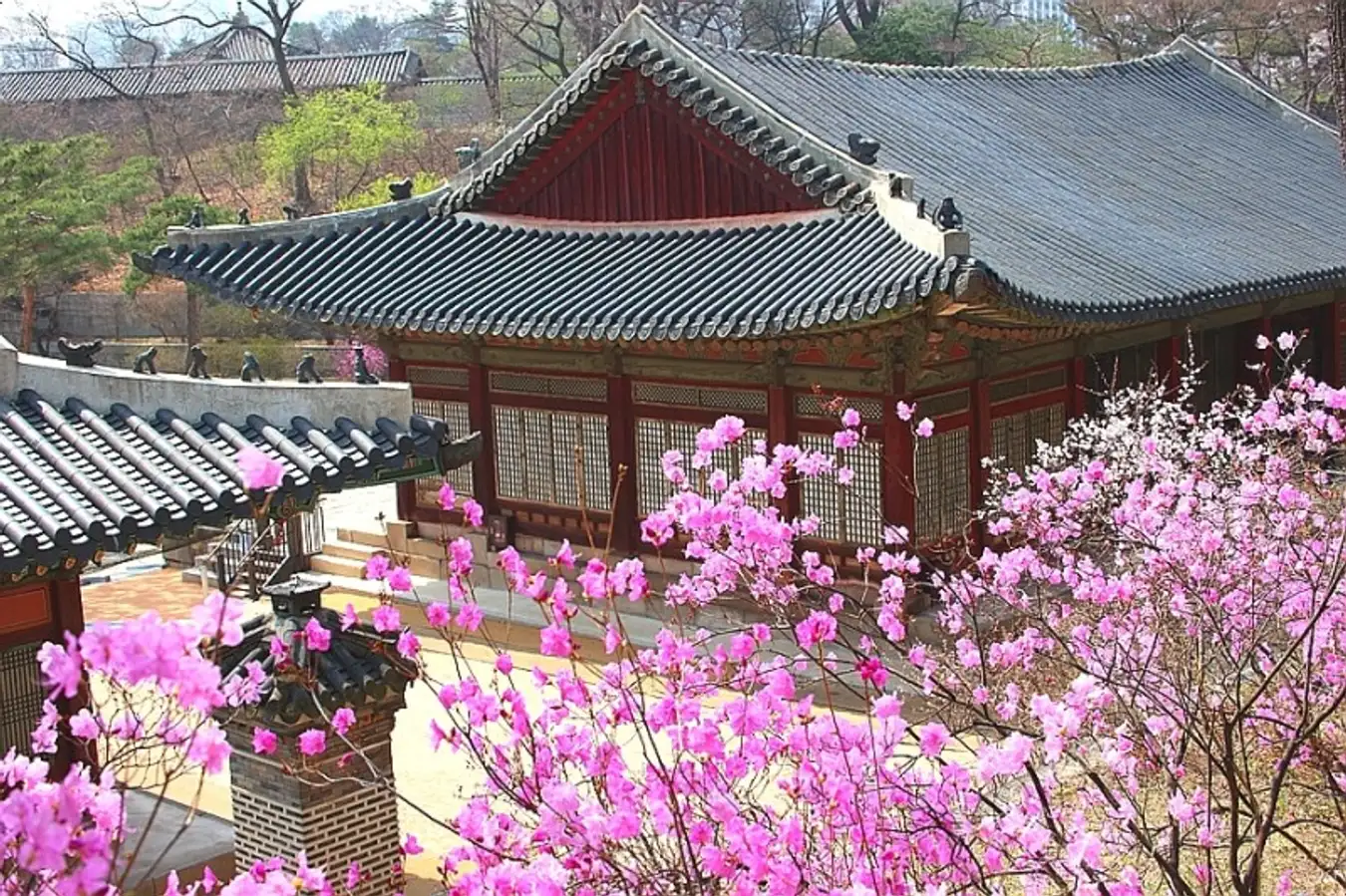visit seoul in april