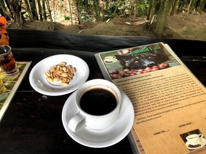bali coffee133