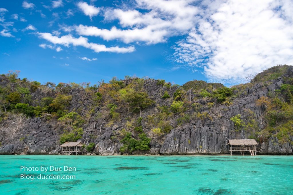 Coral garden coron