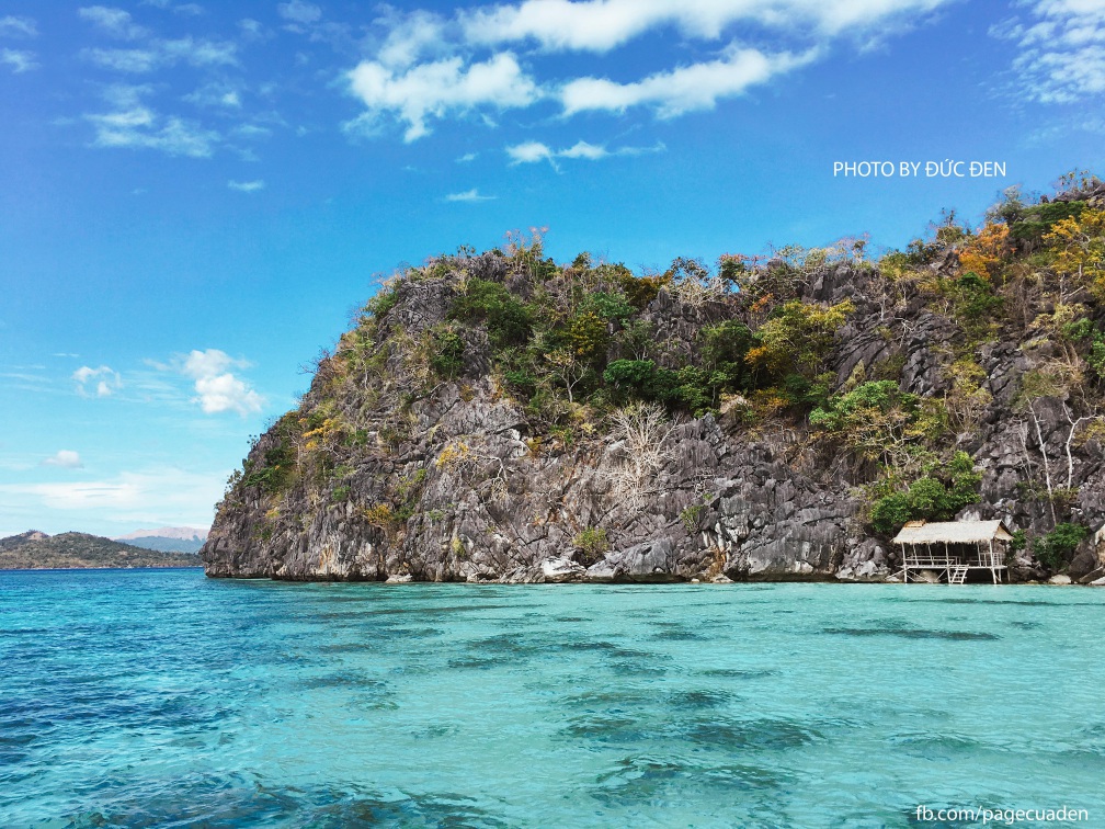 Coral garden coron3