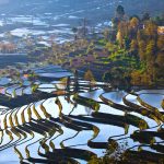 Where to go in Kunming? — 15+ top Kunming attractions & best places to visit in Kunming