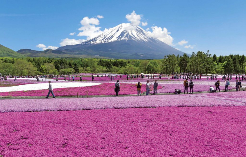 image-kinh-nghiem-du-lich-yamanashi-que-huong-cua-nui-phu-si-164607672753392