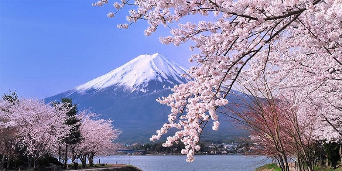 yamanashi springs