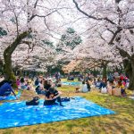 Tokyo best parks — 10+ best & most beautiful parks in tokyo