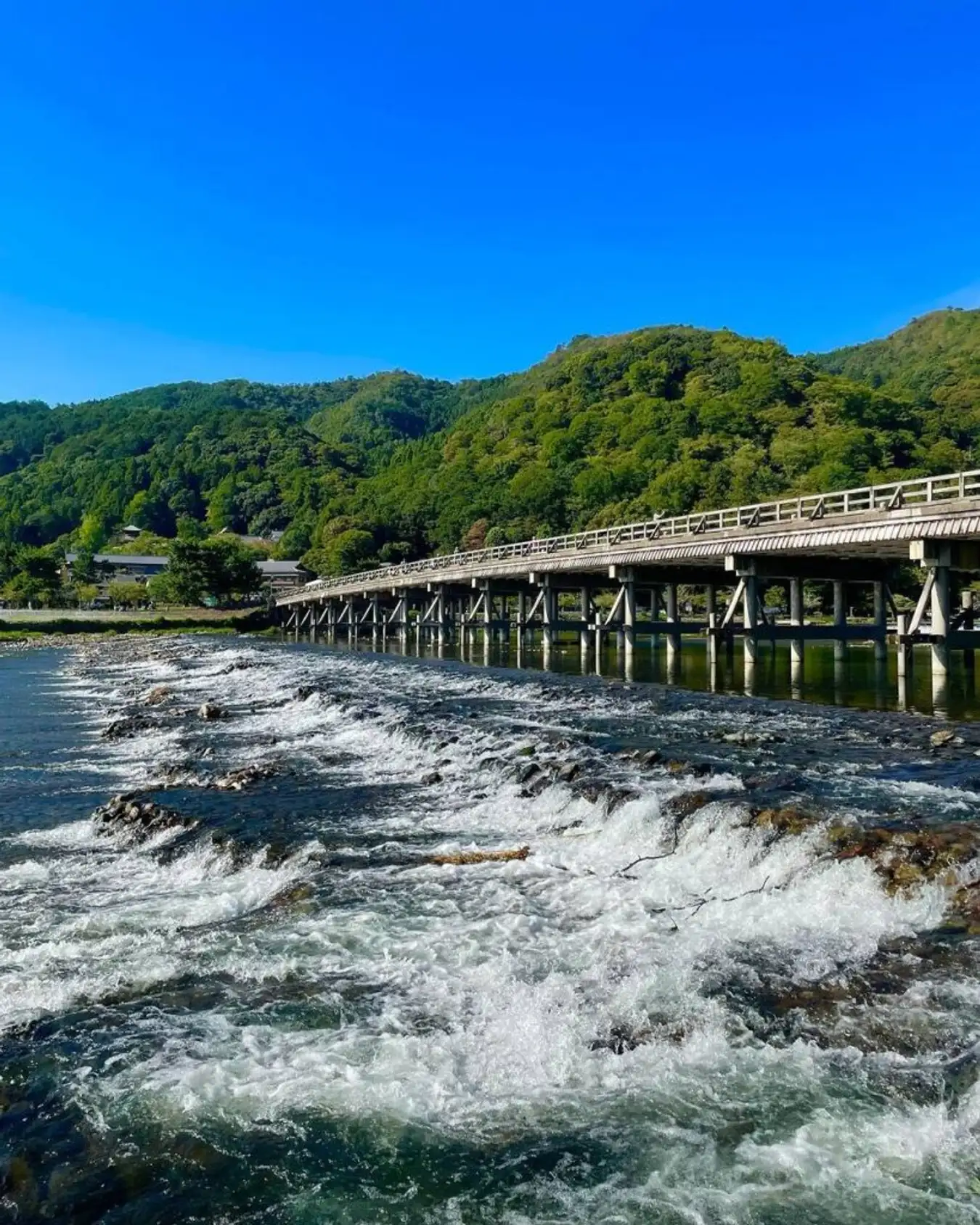 Togetsukyo kyoto rung-truc-arashiyama-6-819×1024