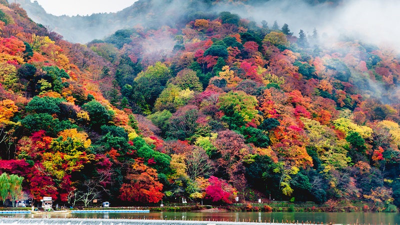 arashiyama-2-1706172636