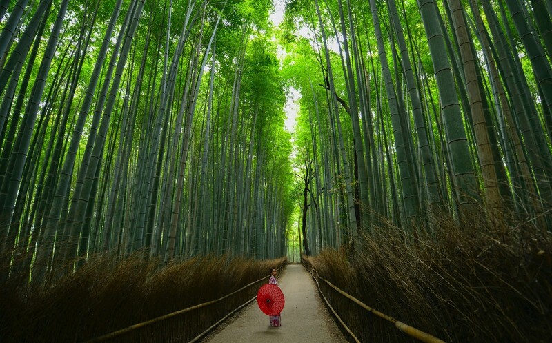 arashiyama-3-1706172638