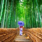 Arashiyama travel blog — The fullest Arashiyama travel guide with top things to do in Arashiyama