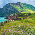 Jeju blog: The latest complete Jeju island travel guide