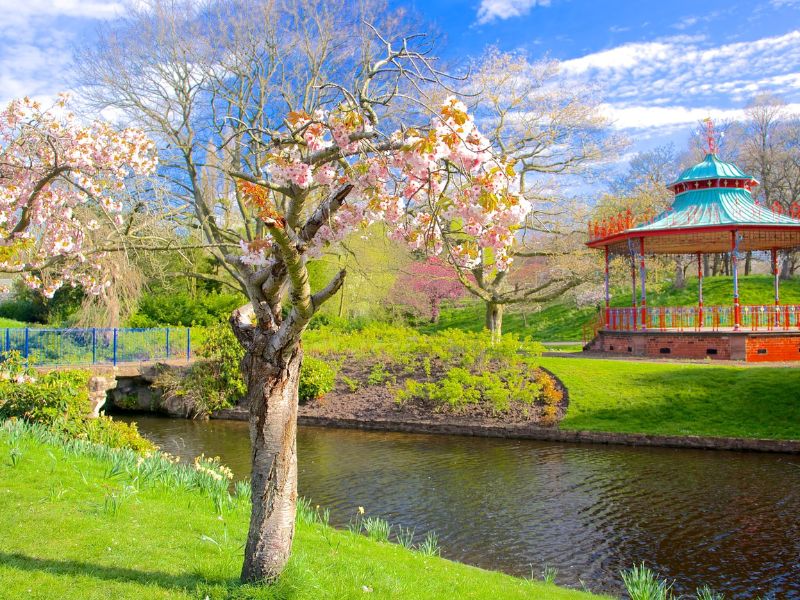 thanh-pho-liverpool-sefton-park-1719137020