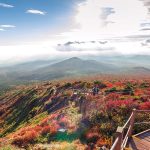 Explore Hallasan National Park. The fullest guide to the famous mount Hallasan on Jeju Island